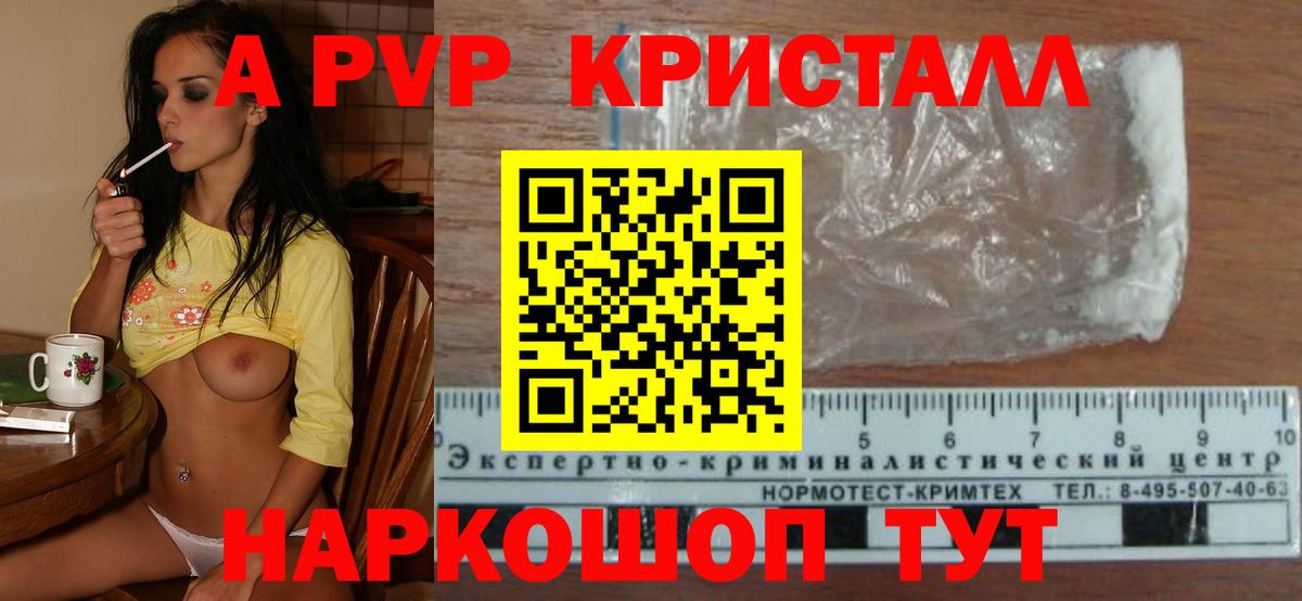 A PVP СК КРИС Кисловодск