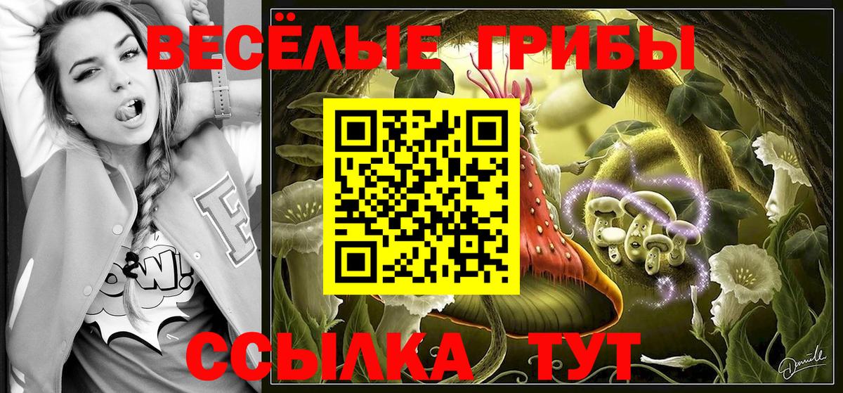 Галлюциногенные грибы GOLDEN TEACHER  Вход с VPN  закладки  Кисловодск  Галлюциногенные грибы MAGIC MUSHROOMS 