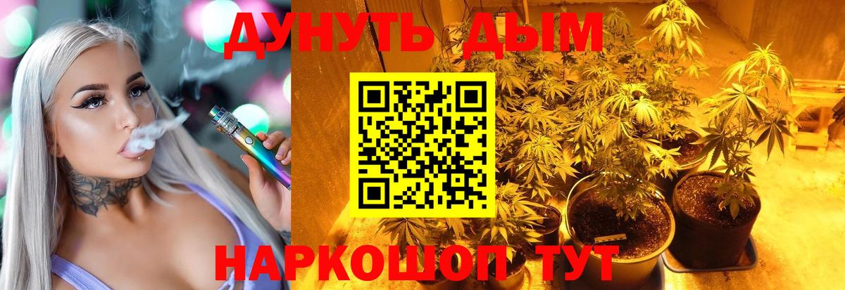 Канабис VHQ  Бошки марихуана AK-47  Кисловодск  Конопля план  Вход с VPN 